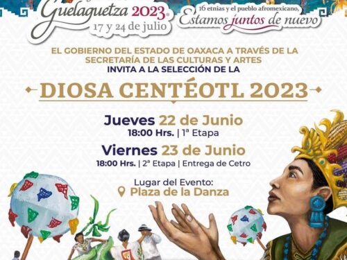 46 participantes quienes buscan