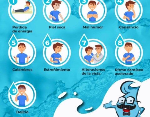 ·         Vital consumir agua pura durante todo el día para mantenerse hidratados