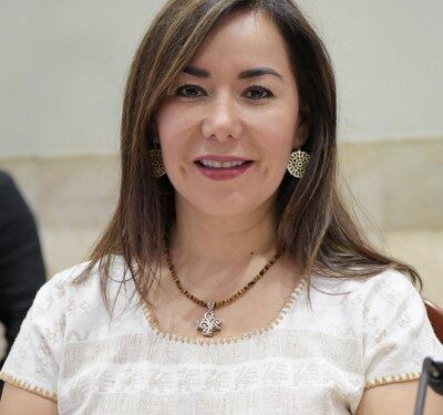 Plantea penas de dos a seis años de prisión para las y los agresores.