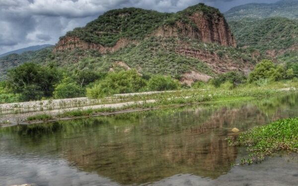 talleres ambientales, así como una jornada de reforestación