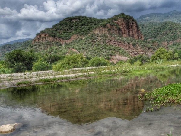 talleres ambientales, así como una jornada de reforestación