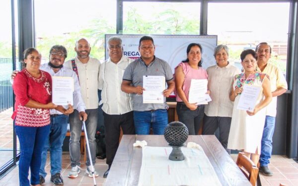 sus creaciones cumplen con la Norma Oficial Mexicana NOM-231-SSA1-2016