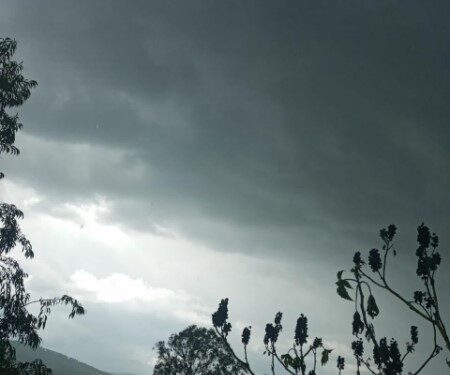      Cortes al servicio eléctrico y caída de postes son algunas afectaciones