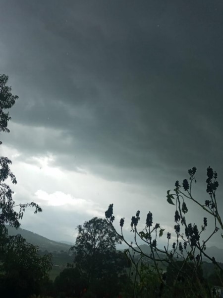      Cortes al servicio eléctrico y caída de postes son algunas afectaciones