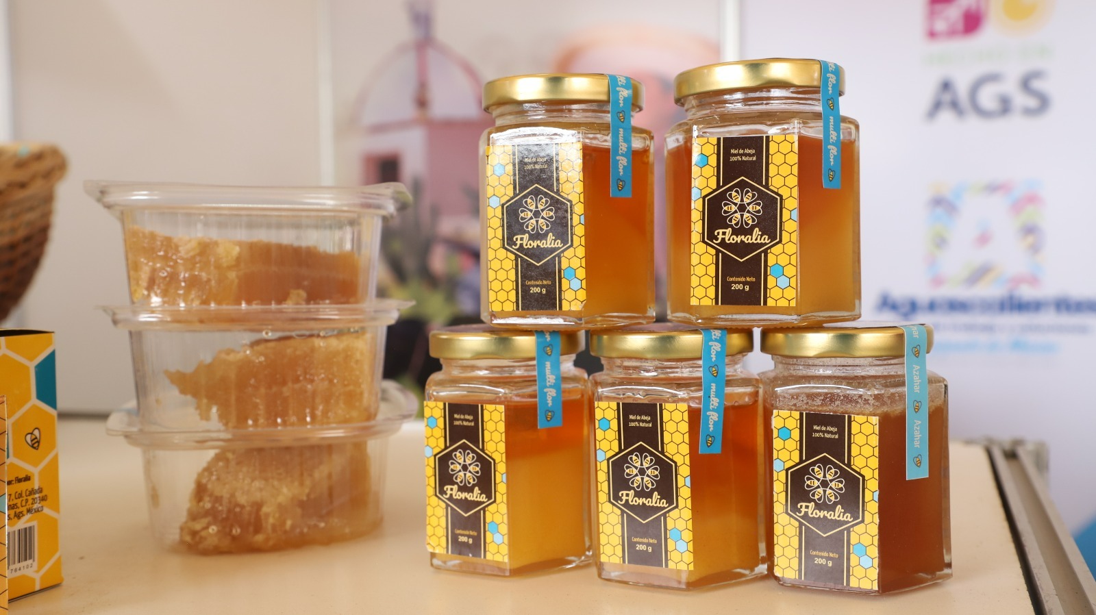 Charro Infantil, Juvenil y de Escaramuzas 2023, que tiene como sede la Arena San Marcos.