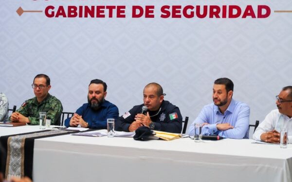 ·         Violencia familiar, lesiones dolosas y robo a negocio tendencia a la baja