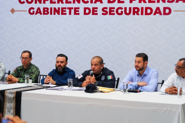 ·         Violencia familiar, lesiones dolosas y robo a negocio tendencia a la baja