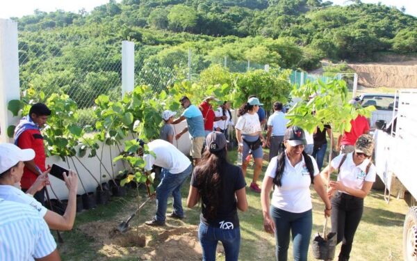 Injeo realizó una actividad de reforestación en  Santa María Colotepec