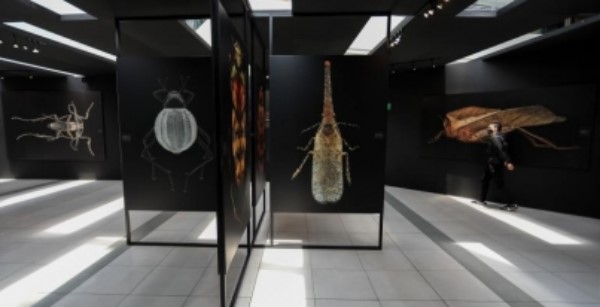 con información en sistema braille gracias a la colaboración del Sistema DIF Tabasco