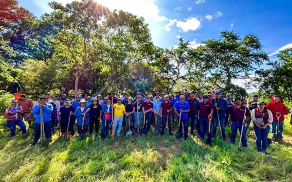 dedicadas a la tala de madera la preservación y el cuidado de los ejemplares que son la materia prima