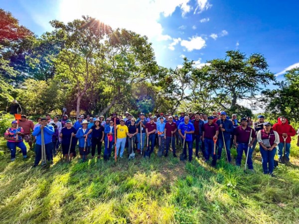 dedicadas a la tala de madera la preservación y el cuidado de los ejemplares que son la materia prima