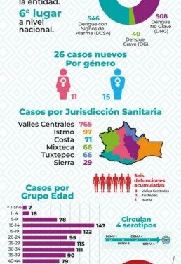 dengue pueden agravarse en personas menores de un año y mayores de 65 que tengan enfermedades crónicas.