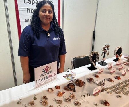 artesanías de Ligüi,  como , porta papeles, diademas, conchas, 