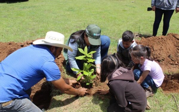 e se plantarán alrededor de 2 millones 500 mil árboles en las ocho eco-regiones de la entidad.