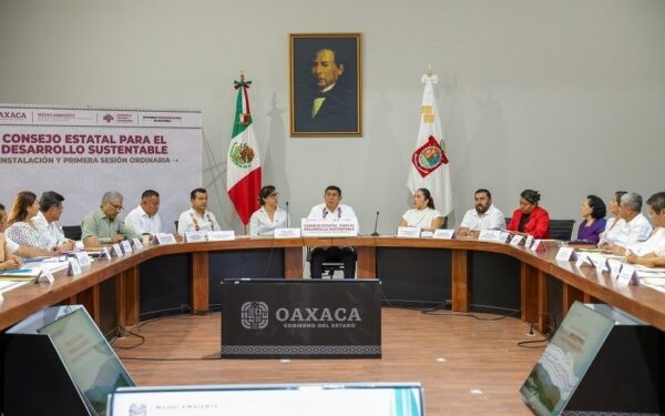 Objetivos de Desarrollo Sostenible de la Agenda 2030 de la Organización de las Naciones Unidas.
