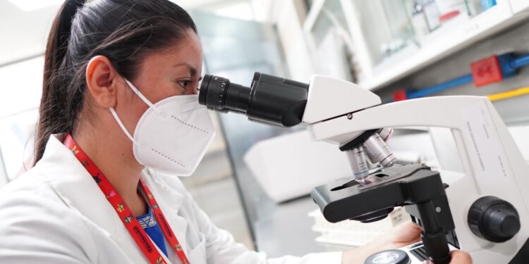 en el ámbito de la salud, en el diagnóstico, el tratamiento y la prevención de enfermedades.