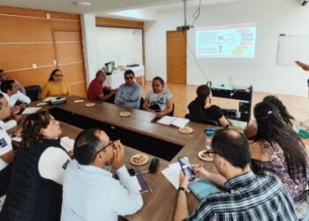 Proponen estrategias con perspectiva en discapacidad que deriven en una movilidad incluyente