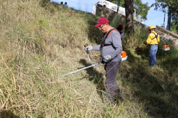 que busca llevar todos los colectores hasta una planta donde se tratará el agua residual"