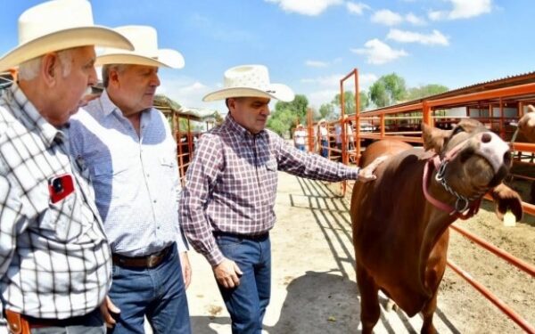 Logra Zona “B1” de Coahuila acreditación para exportación de ganado: MARS