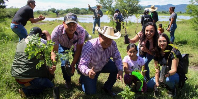206 hectáreas de bosques y selvas, así como 326 kilómetros de cercos vivos.