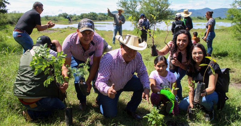 206 hectáreas de bosques y selvas, así como 326 kilómetros de cercos vivos.