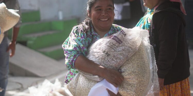 Acerca Estado servicios de salud, alimentación y atención jurídica a comunidades indígenas urbanas