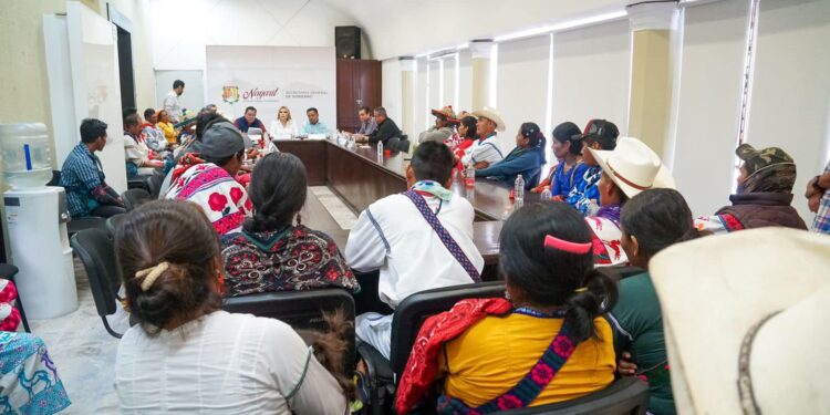 Atiende Rocío Esther González García, a ciudadanos de Del Nayar