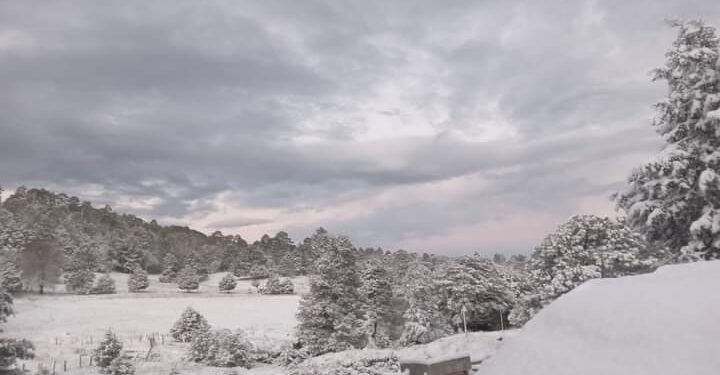 Deja Tormenta Invernal primeras nevadas de la temporada