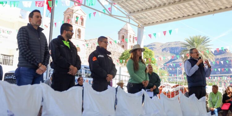 Reciben apoyo alimentario 900 familias afectadas por la sequía en Uruachi y Moris