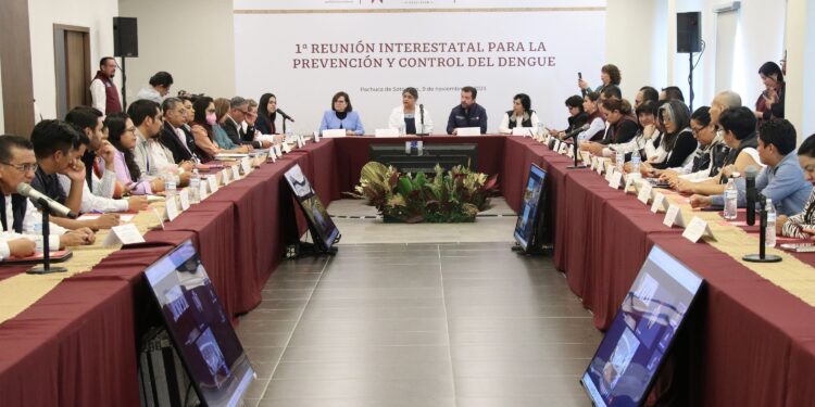 Refuerzan Puebla y estados vecinos acuerdos para combatir el dengue