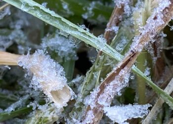 Activa Protección Civil monitoreo ante descenso de temperaturas