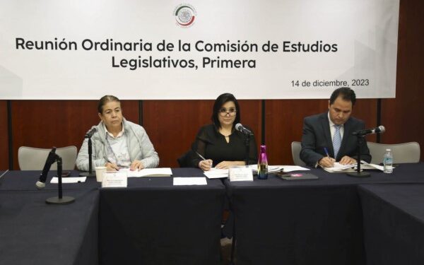 Avalan proyecto para que menores puedan presentar denuncias contra violación de sus derechos