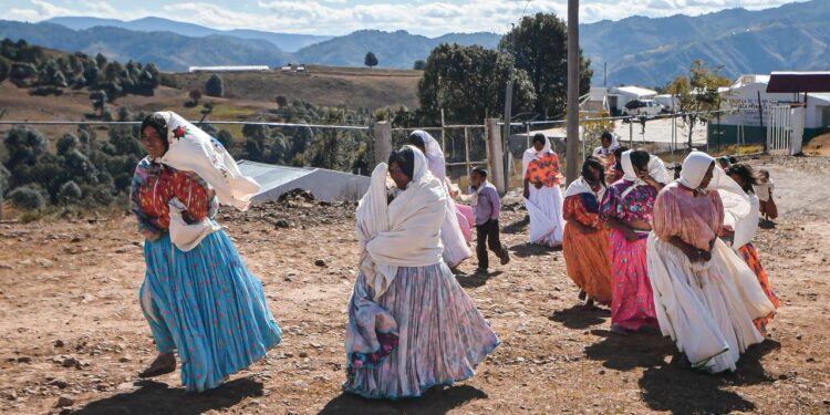 más de mil 620 toneladas de maíz y frijol en una primera etapa