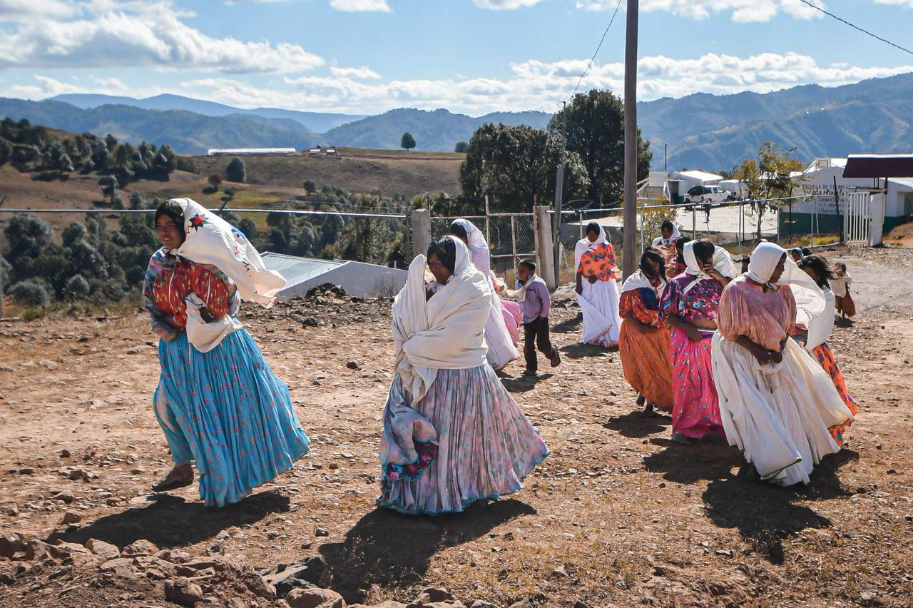 más de mil 620 toneladas de maíz y frijol en una primera etapa
