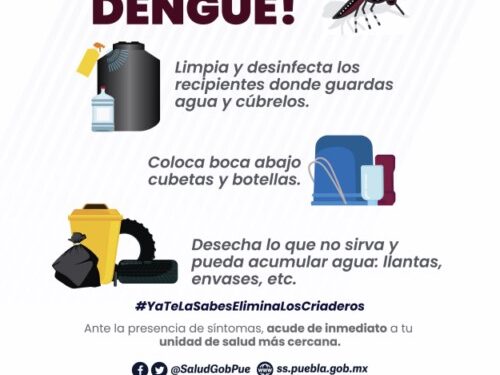 Descarta Salud contagios por dengue en las últimas 24 horas
