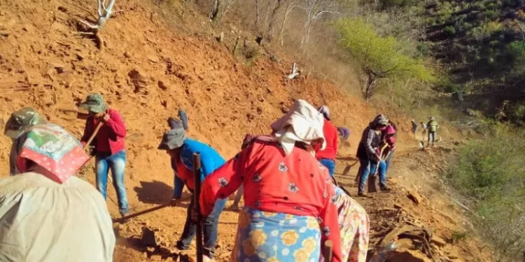 Invierte Bien Común más de 8.4 mdp en apoyos del programa de Ocupación Temporal