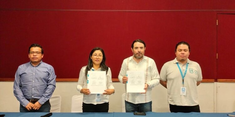 Promueven acciones para garantizar derechos de niñas, niños y adolescentes que trabajan