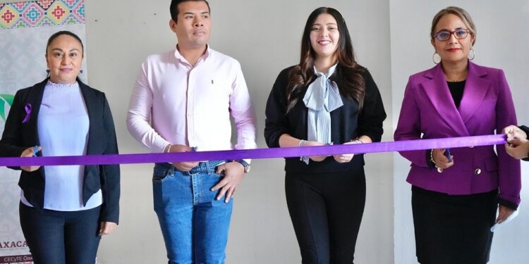 un buzón violeta en el cual las mujeres podrán depositar sus denuncias de manera anónima