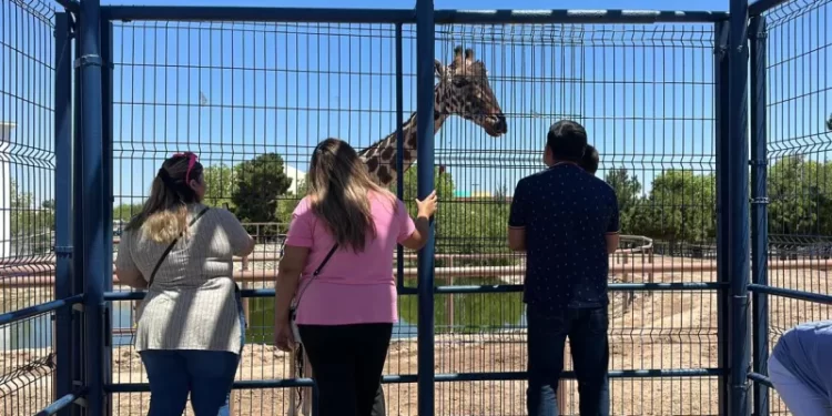 Gobierno del Estado informa de un nuevo hogar para “Benito”