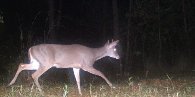 Guerrero aumenta a 348 mil hectáreas de áreas naturales y ecosistemas protegidas, celebra Evelyn Salgado