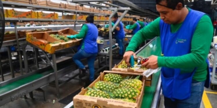 Mantienen inversionistas confianza en Tabasco: Sedec