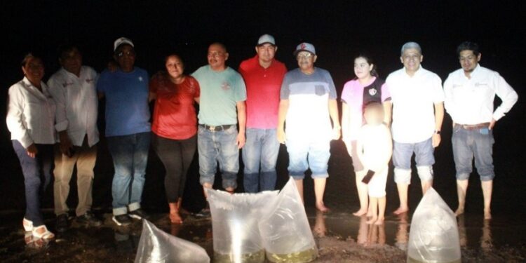 Revierte Sefader insuficiencia alimentaria con producción de peces