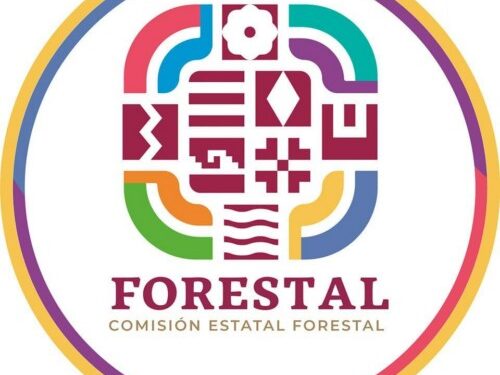 Atiende Coesfo tres Incendios en diversos puntos de Oaxaca