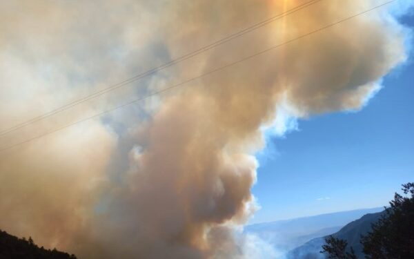 Atiende Gobierno de Oaxaca incendios forestales suscitados en la entidad