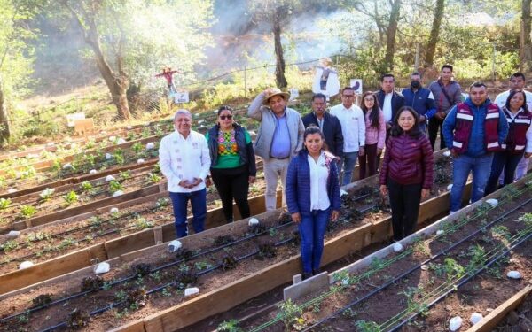 Inauguran DIF Oaxaca y Sefader Huerto Escolar Pedagógico Unidos Progresamos