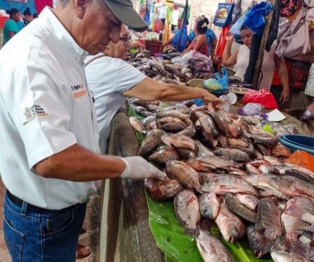 verificar la aplicación de la normatividad vigente para la venta de productos del mar