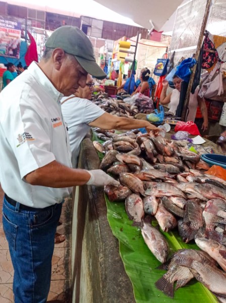 verificar la aplicación de la normatividad vigente para la venta de productos del mar