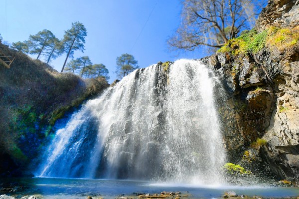 -Los ganadores se definirán mediante votación abierta a través del sitio web