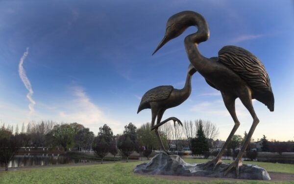 Guachochi, el lugar ideal para vivir grandes aventuras