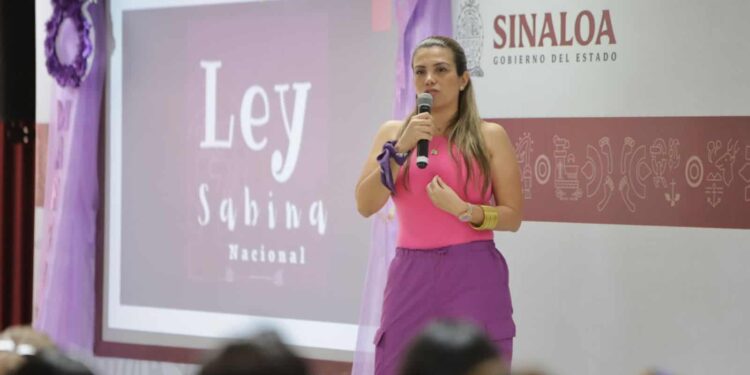 busca la sanción de padres que ejercen violencia y buscan hacer daño a las mujeres cuando sustraen a su hijos e hijas.